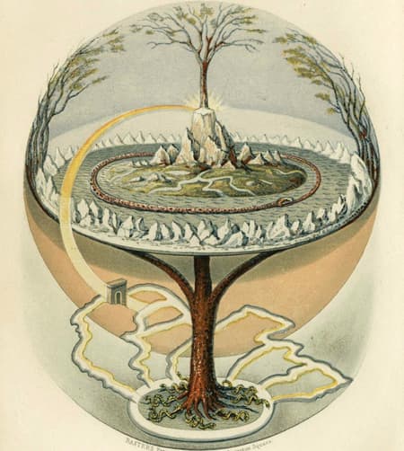 The Root